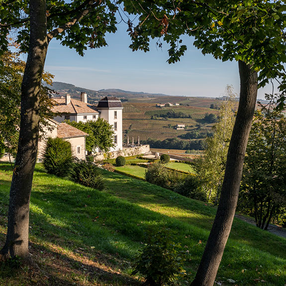 Image Les activités dans le parc