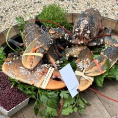 Homard Bleu Jumbo de Bretagne